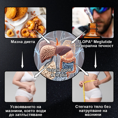 Voilaist® GLP-1 Капки за отслабване и здраве с моринга 🏆 (👨‍⚕️ Хранителна добавка за изгаряне на мазнини – разработена от Обществото по затлъстяване)